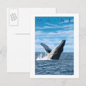 MaineHumpback Whale Scene Briefkaart (Voorkant / Achterkant)