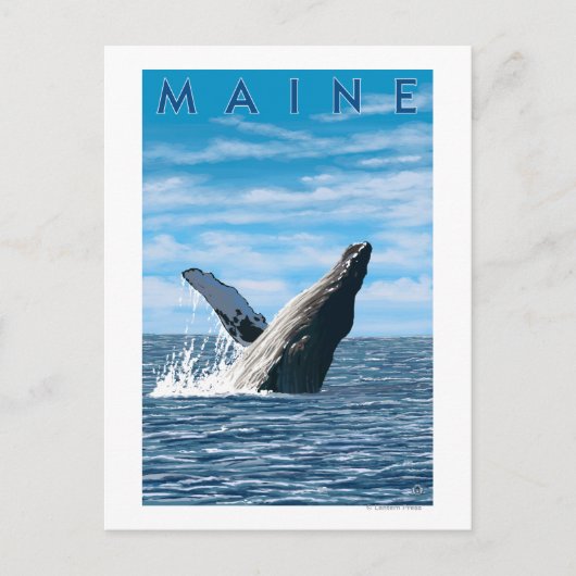 MaineHumpback Whale Scene Briefkaart (Voorkant)