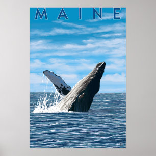 MaineHumpback Whale Scene Poster