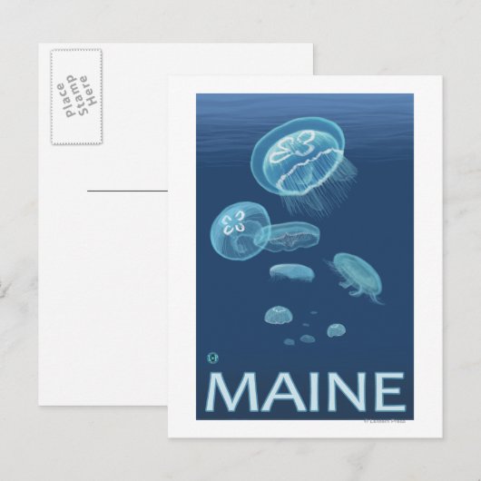 MaineJellyfish Scene Briefkaart (Voorkant / Achterkant)