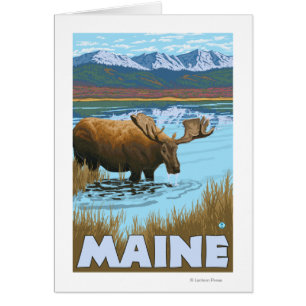 MaineMoose Drink in Lake