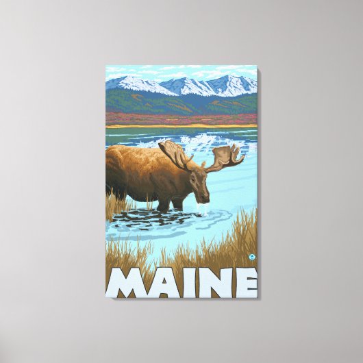 MaineMoose Drink in Lake Canvas Afdruk (Voorkant)
