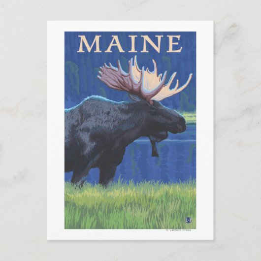 MaineMoose in de maan Briefkaart (Voorkant)