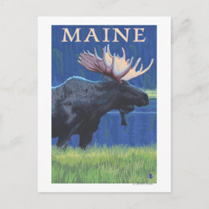 MaineMoose in de maan Briefkaart