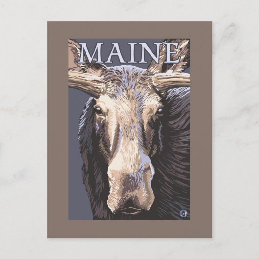 MaineMoose Up Close Briefkaart (Voorkant)