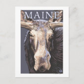 MaineMoose Up Close Briefkaart (Voorkant)