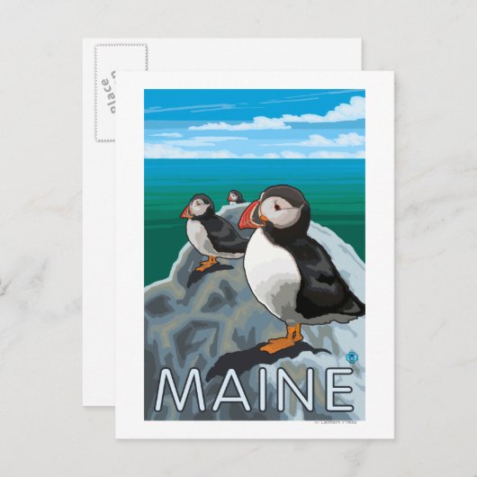 MainePuffins-sceen Briefkaart (Voorkant / Achterkant)