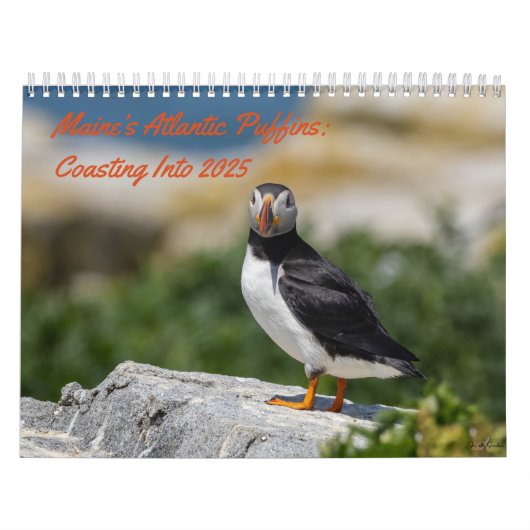 Maine's Puffins: Coasting in de Kalender van 2025 (Hoes)