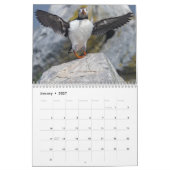 Maine's Puffins: Coasting in de Kalender van 2025 (Jan 2027)