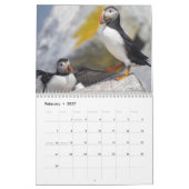 Maine's Puffins: Coasting in de Kalender van 2025 (Feb 2027)