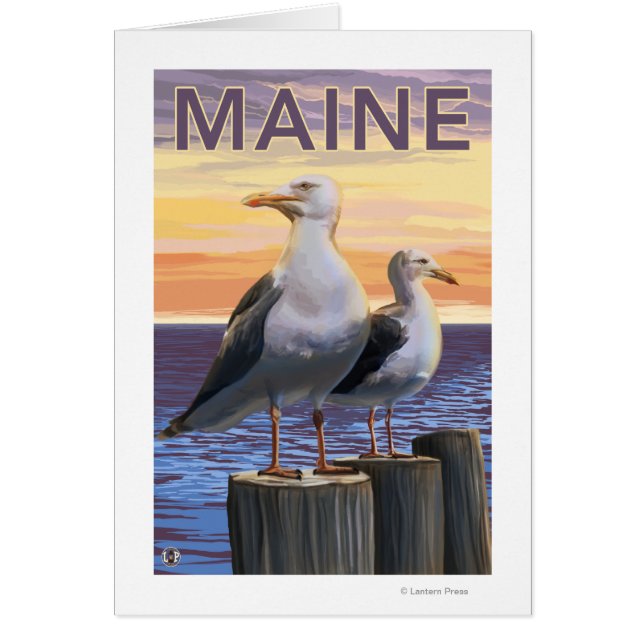 MaineSea Gulls Scene (Voorkant)