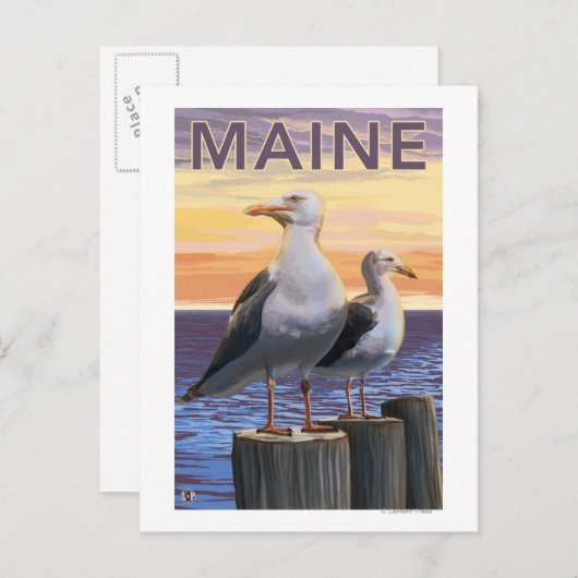 MaineSea Gulls Scene Briefkaart (Voorkant / Achterkant)