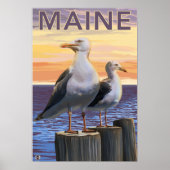 MaineSea Gulls Scene Poster (Voorkant)