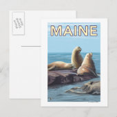 MaineSea Lions Scene Briefkaart (Voorkant / Achterkant)
