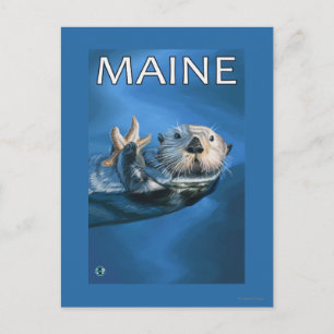 MaineSea Otter Scene Briefkaart
