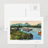MaineSourdnahunk Valley Lily Pad Scene Briefkaart (Voorkant / Achterkant)