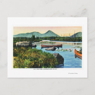 MaineSourdnahunk Valley Lily Pad Scene Briefkaart