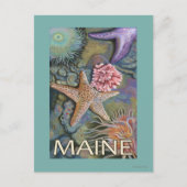 MaineTidepool Scene Briefkaart (Voorkant)