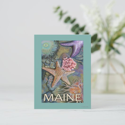 MaineTidepool Scene Briefkaart (Staand voorkant)
