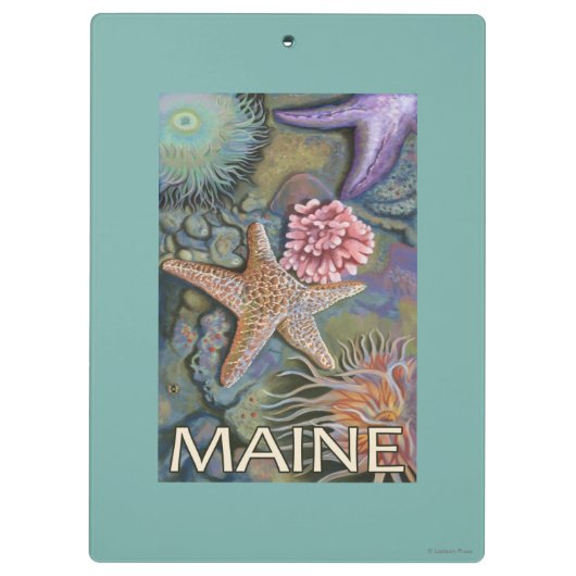 MaineTidepool Scene Klembord (Achterkant)