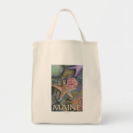 MaineTidepool Scene Tote Bag (Voorkant)