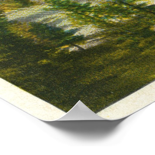 MaineView of a Log Cabin in the Maine Bossen Poster (Hoek)