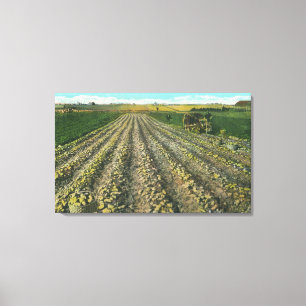 MaineView of a Potato Boerderij in Maine Canvas Afdruk