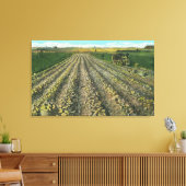 MaineView of a Potato Boerderij in Maine Canvas Afdruk (Insitu (Woonkamer))