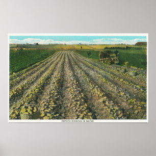 MaineView of a Potato Boerderij in Maine Poster