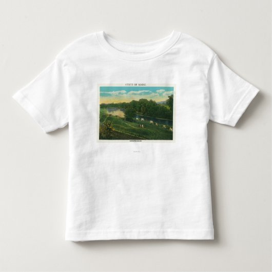 MaineView of Cows Homeward Bound Kinder Shirts (Voorkant)