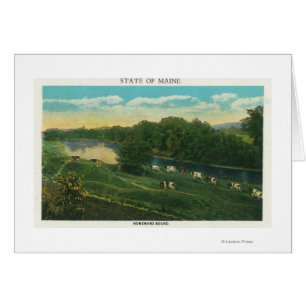 MaineView of Koeien Homeward Bound