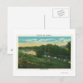 MaineView of Koeien Homeward Bound Briefkaart (Voorkant / Achterkant)