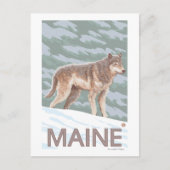 MaineWolf Scene Briefkaart (Voorkant)
