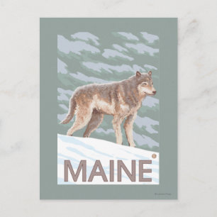 MaineWolf Scene Briefkaart