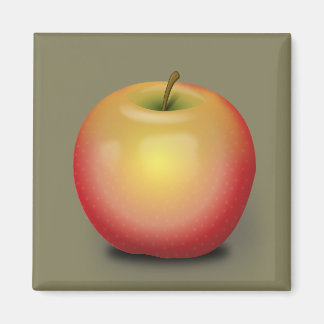 Maintosh Apple Magneet