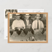 Mais bekijken briefkaart (Voorkant / Achterkant)