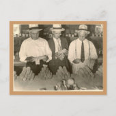 Mais bekijken briefkaart (Voorkant)