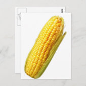 maïs briefkaart (Voorkant / Achterkant)