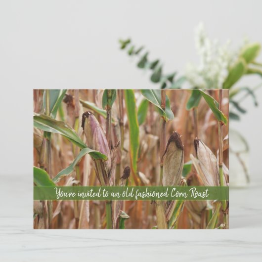 Maïs gebraden, akker van maïs herfst maïskolven kaart (Staand voorkant)