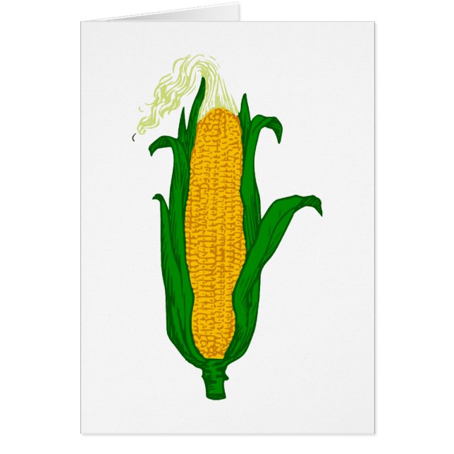 Mais Maiskolben corn cob (Voorkant)