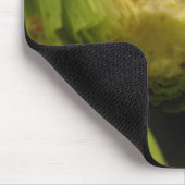 maïs muismat (Hoek)