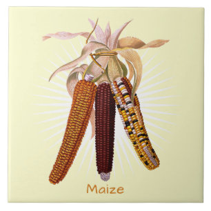 maïs of maïs fruit kunst keramische Tegel Tegeltje