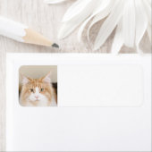 maïscoon 3 etiket (Insitu)