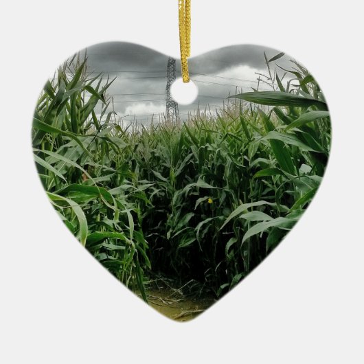 Maisdoolhof Keramisch Ornament (Voorkant)