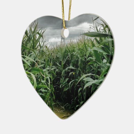 Maisdoolhof Keramisch Ornament (Links)