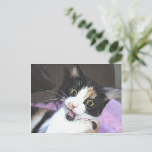 maisie briefkaart (Staand voorkant)