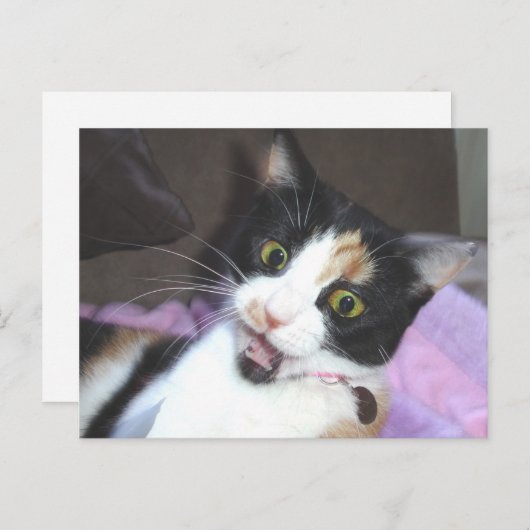 maisie briefkaart (Voorkant / Achterkant)