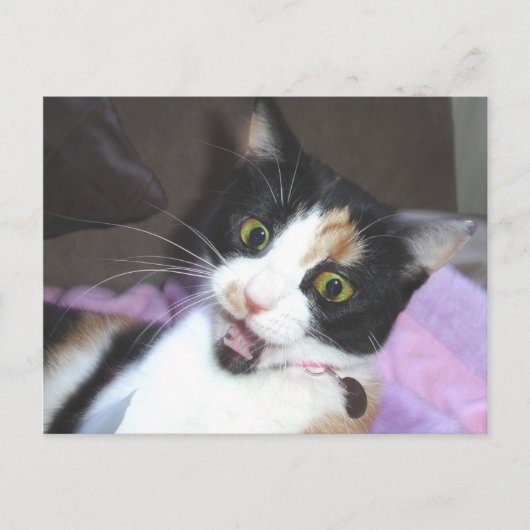 maisie briefkaart (Voorkant)