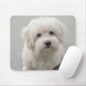 Maisie Coton de Tulear Puppy Muismat (Met muis)