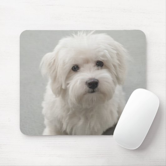 Maisie Coton de Tulear Puppy Muismat (Met muis)